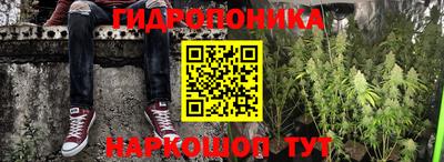 трава Бийск