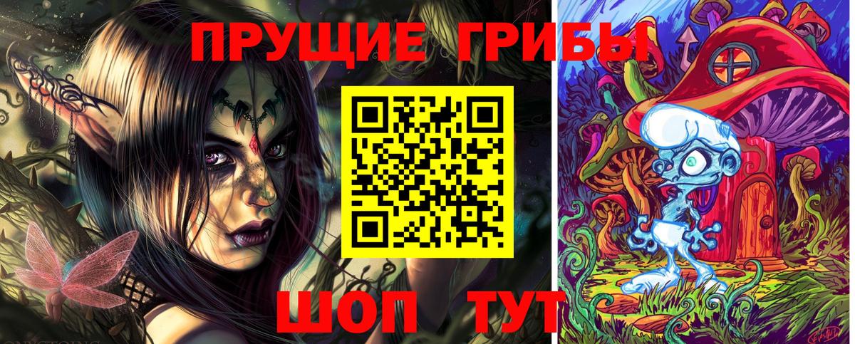Псилоцибиновые грибы Psilocybine cubensis Касимов